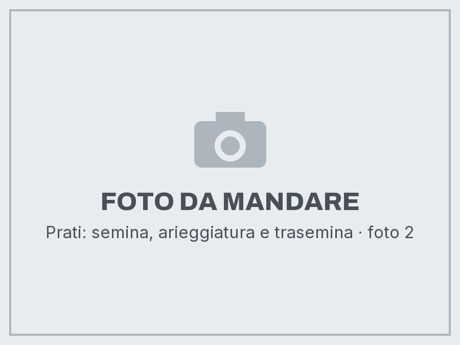 Prati: semina, arieggiatura e trasemina: foto da mandare